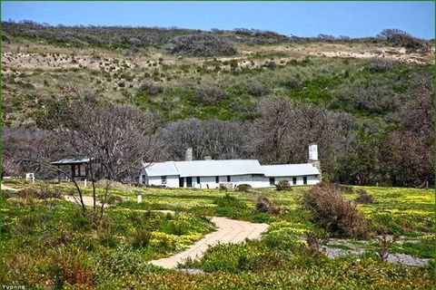 Guided Walks On The Cape To Cape - Moses Rock To Ellenbrook - Accommodation VIC 2