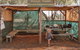 Mitchell Falls And Kimberley Coastal Camp (3night) - thumb 6