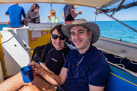 Ningaloo Immersion Private Charter - Accommodation VIC 7