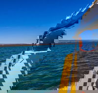 Ningaloo Immersion Private Charter - Accommodation VIC