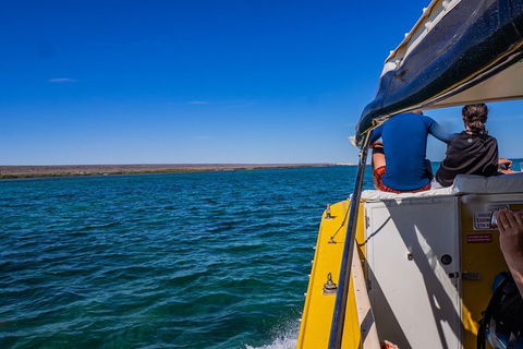 Ningaloo Immersion Private Charter - Accommodation VIC 0