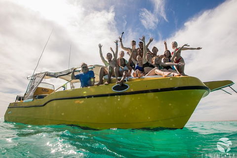 Ningaloo Immersion Private Charter - Accommodation VIC 9