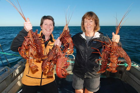 Abrolhos Islands 5 Day Tours - Accommodation VIC 1