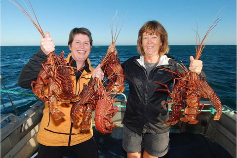 Abrolhos Islands 5 Day Tours - Accommodation VIC 0