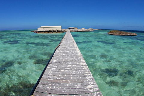 Abrolhos Islands 5 Day Tours - Accommodation VIC 4