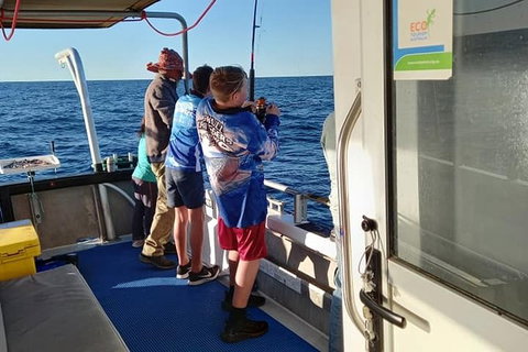 Geraldton Fishing Charter - Accommodation VIC 9