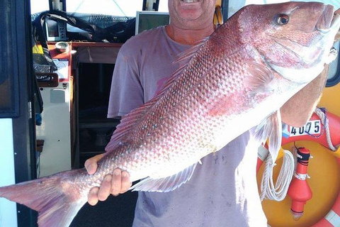 Geraldton Fishing Charter - Accommodation VIC 10