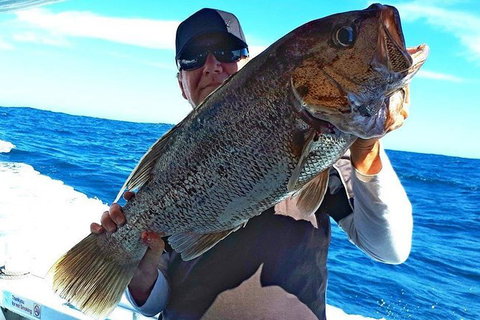 Geraldton Fishing Charter - Accommodation VIC 4