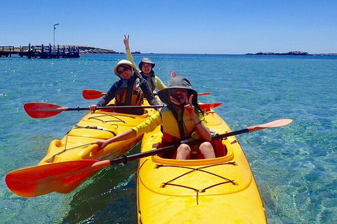 Penguin And Seal Islands Sea Kayaking Experience - Accommodation VIC 3