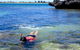 Penguin And Seal Islands Sea Kayaking Experience - thumb 6
