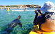 Penguin And Seal Islands Sea Kayaking Experience - thumb 1