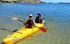 Penguin And Seal Islands Sea Kayaking Experience - thumb 4