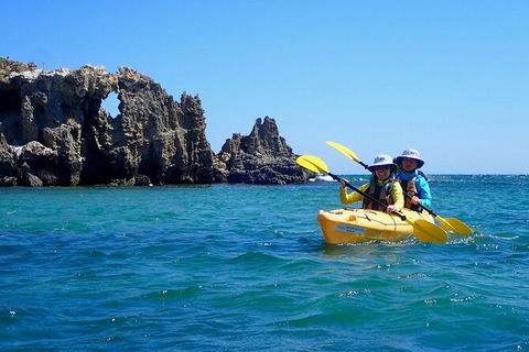 Penguin And Seal Islands Sea Kayaking Experience - Accommodation VIC 2
