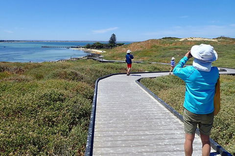 Penguin And Seal Islands Sea Kayaking Experience - Accommodation VIC 7