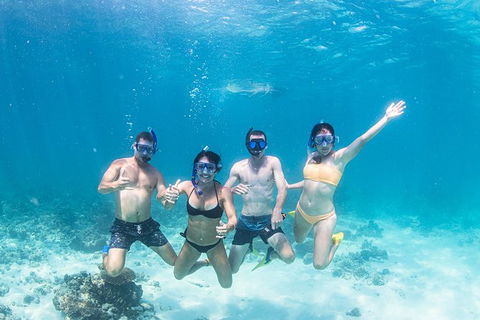 Full-Day Whale Sharks Swimming Experience On Ningaloo Reef - Accommodation VIC 5