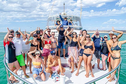 Full-Day Whale Sharks Swimming Experience On Ningaloo Reef - Accommodation VIC 1