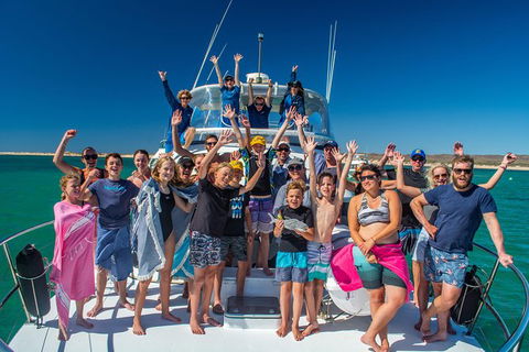 Full-Day Whale Sharks Swimming Experience On Ningaloo Reef - Accommodation VIC 15