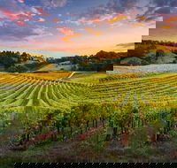 Swan Valley Sunset Wine Tour - Premium Small Group Tour - Accommodation VIC