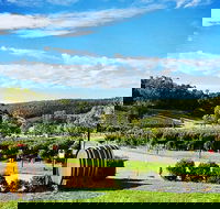 Bickley Valley Wine  Cider Tour - Premium Small Group Tour - Accommodation VIC