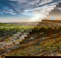 Perth to Margaret River Wine Tour - 2 Day Premium Boutique Wine Tour Experience - Accommodation VIC