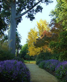 Albury NSW Accommodation VIC