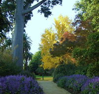 Albury Botanic Garden - Accommodation VIC