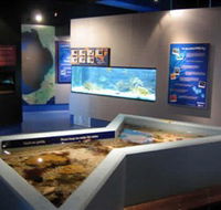 Marine and Freshwater Discovery Centre - Accommodation VIC