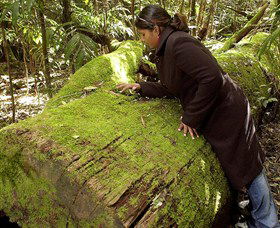 Bald Nob NSW Accommodation VIC