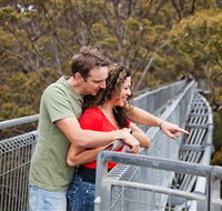 Valley of the Giants Tree Top Walk - Accommodation VIC