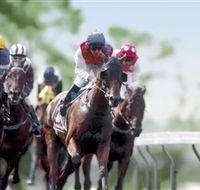 Colac Turf Club - Accommodation VIC
