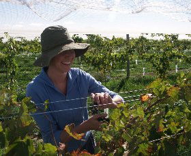 Kingsdale Wines - Accommodation VIC 0