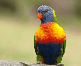 Booderee National Park - Accommodation VIC 1