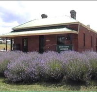 Lavender House in Railway Park - Accommodation VIC