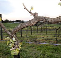 Nalbra Estate Wines - Accommodation VIC