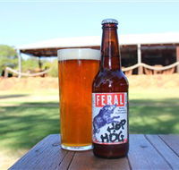 Feral Brewing Company - Accommodation VIC