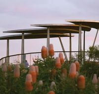 Reabold Hill Summit Boardwalk Bold Park - Accommodation VIC