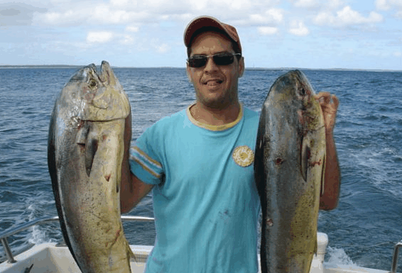 Jervis Bay Fishing and Charters - Accommodation VIC