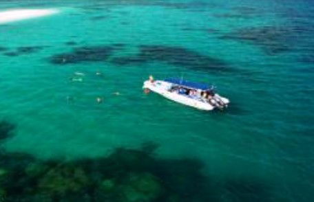 Ocean Safari - Accommodation VIC 1