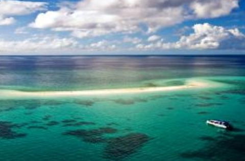 Ocean Safari - Accommodation VIC 2
