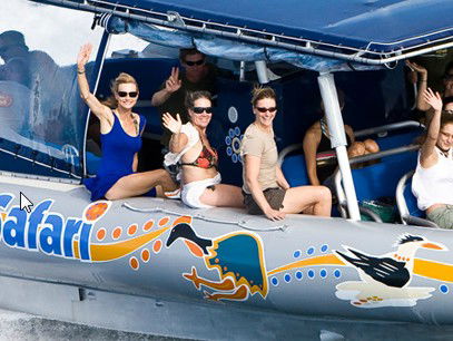 Ocean Safari - Accommodation VIC 3