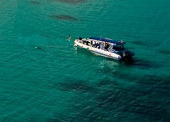 Ocean Safari - Accommodation VIC 5