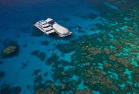 Great Adventures Reef And Green Island Cruises - Accommodation VIC 0