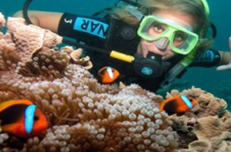 Ocean Spirit Cruises - Accommodation VIC 1