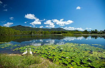 Blazing Saddles Adventures - Accommodation VIC 3