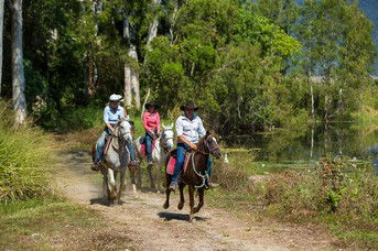 Blazing Saddles Adventures - Accommodation VIC 4