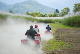 Blazing Saddles Adventures - Accommodation VIC 5