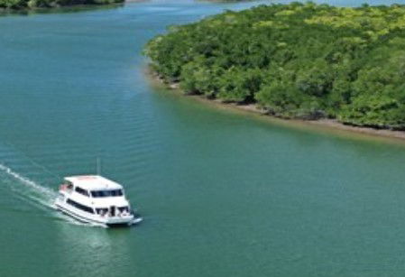 Cairns Harbour Cruises - Accommodation VIC 3