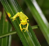 Daintree River Cruise Centre - Accommodation VIC
