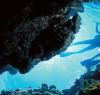Deep Sea Divers Den - Accommodation VIC