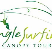 Jungle Surfing Canopy Tours and Jungle Adventures Nightwalks - Accommodation VIC